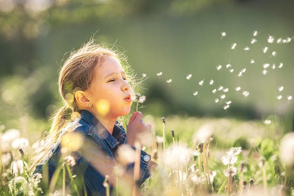 gesundheitsnews-pollenflug